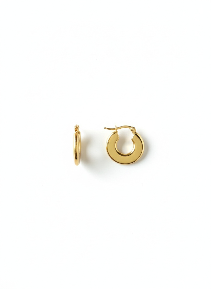 Tiny Chunky Hoop Earrings, 18K Gold Plated AurviJewelry